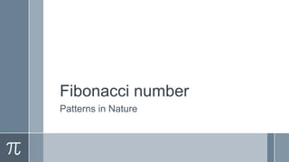 Fibonacci number
Patterns in Nature
 