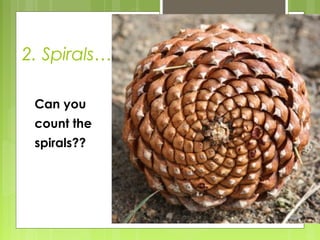 2. Spirals…
Can you
count the
spirals??

 