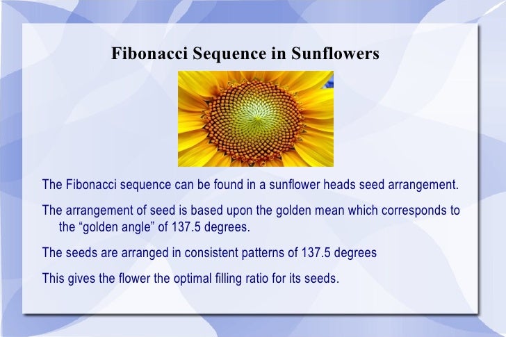 Fibonacci sequence