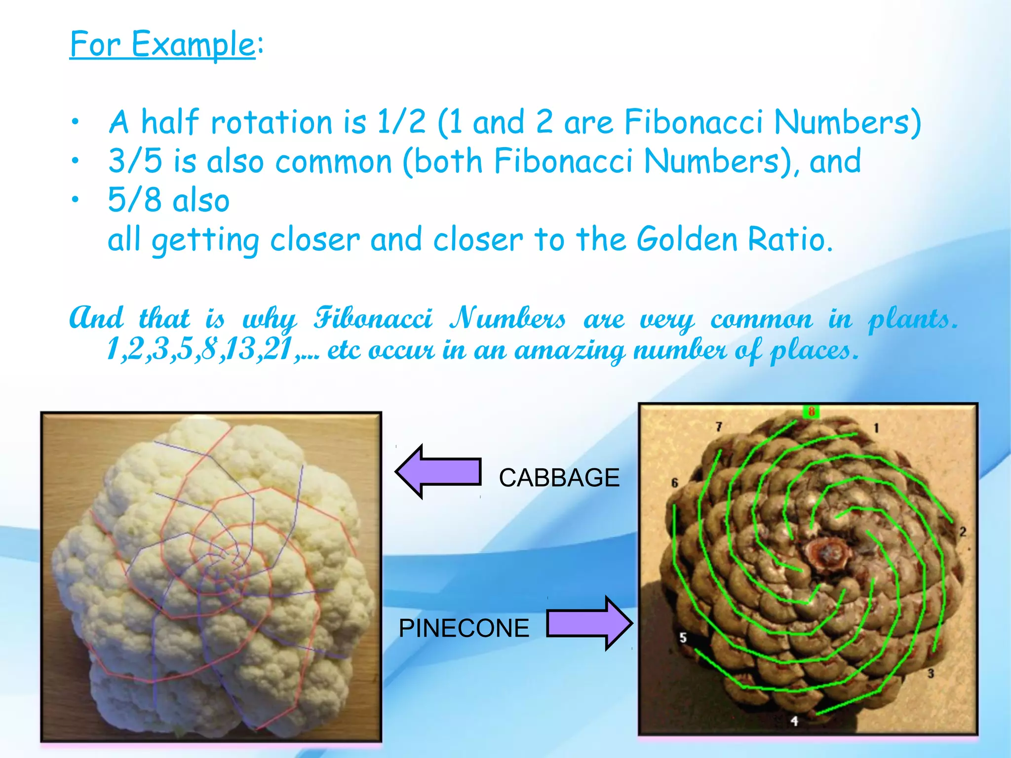 Fibonacci sequence | PPT | Parenting Babies and Toddlers | Parenting