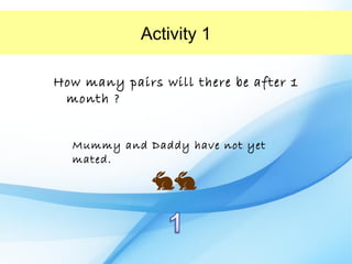 Activity 1

How many pairs will there be after 1
 month ?


  Mummy and Daddy have not yet
  mated.
 