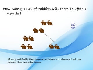 How many pairs of rabbits will there be after 4
 months?




  Mummy and Daddy, their three sets of babies and babies set 1 will now
  produce their own set of babies.
 