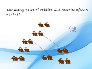 How many pairs of rabbits will there be after 5
months?
 