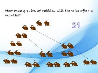 How many pairs of rabbits will there be after 6
months?
 