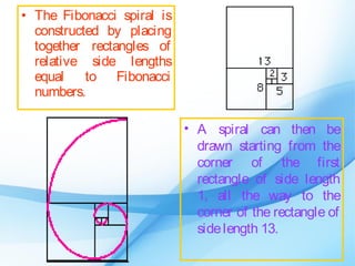 • The Fibonacci spiral is
  constructed by placing
  together rectangles of
  relative side lengths
  equal    to Fibonacci
  numbers.

                            • A spiral can then be
                              drawn starting from the
                              corner of the first
                              rectangle of side length
                              1, all the way to the
                              corner of the rectangle of
                              side length 13.
 