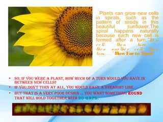 Plants can grow new cells
                                        in spirals, such as the
                                        pattern of seeds in this
                                        beautiful            sunflower.The
                                        spiral happens naturally
                                        because each new cell is
                                        formed after a turn." N w       e
                                        c e ll,        the n     turn,
                                        the n a no the r c e ll, the n
                                        turn, . . . "  How Far to Turn?



• So, if you were a plant, how much of a turn would you have in
  between new cellS?
• if you don't turn at all, you would have a Straight line.
• but that iS a very poor deSign ... you want Something round
  that will hold together with no gapS.
 