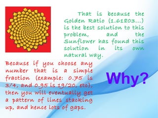That is because the
                    Golden Ratio (1.61803...)
                    is the best solution to this
                    problem,       and       the
                    Sunflower has found this
                    solution    in    its   own
                    natural way.
Because if you choose any
number that is a simple
fraction (example: 0.75 is
3/4, and 0.95 is 19/20, etc),
                                  Why?
then you will eventually get
a pattern of lines stacking
up, and hence lots of gaps.
 