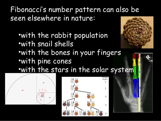 Fibonacci sequence