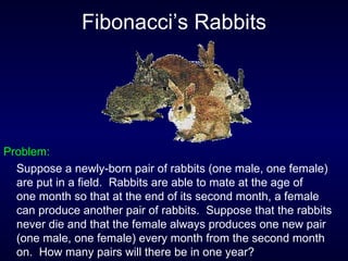 Fibonacci sequence and golden ratio | PPT