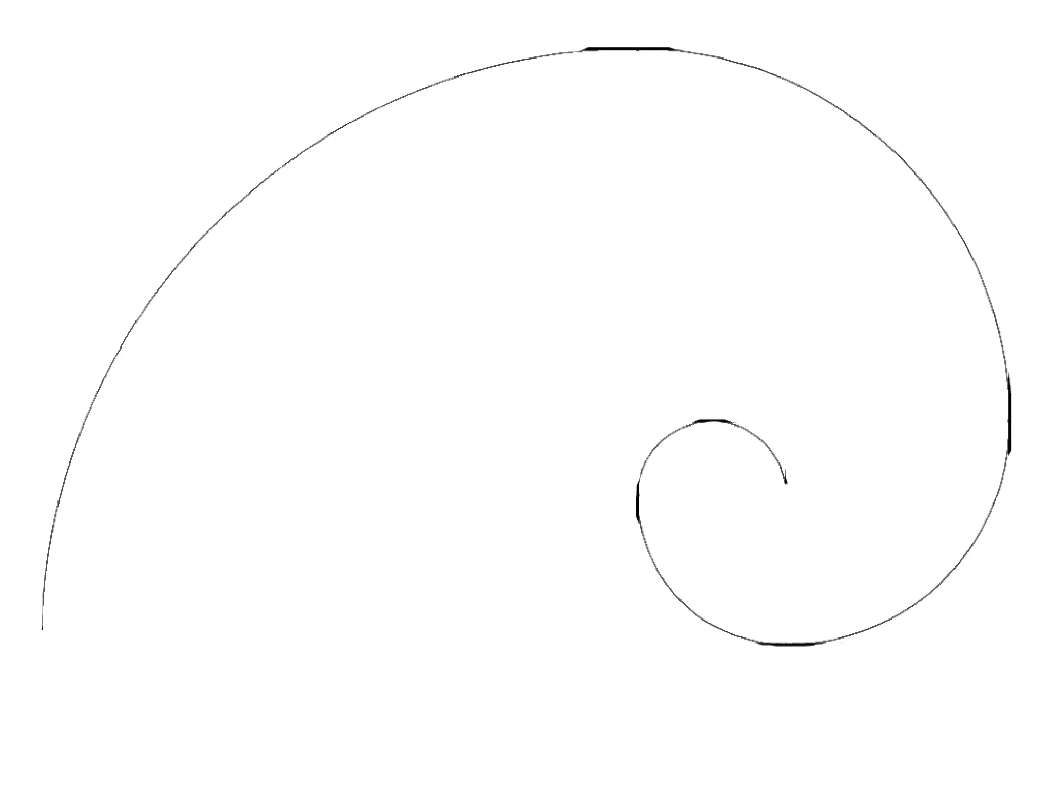 Fibonacci spiral handout | PPT