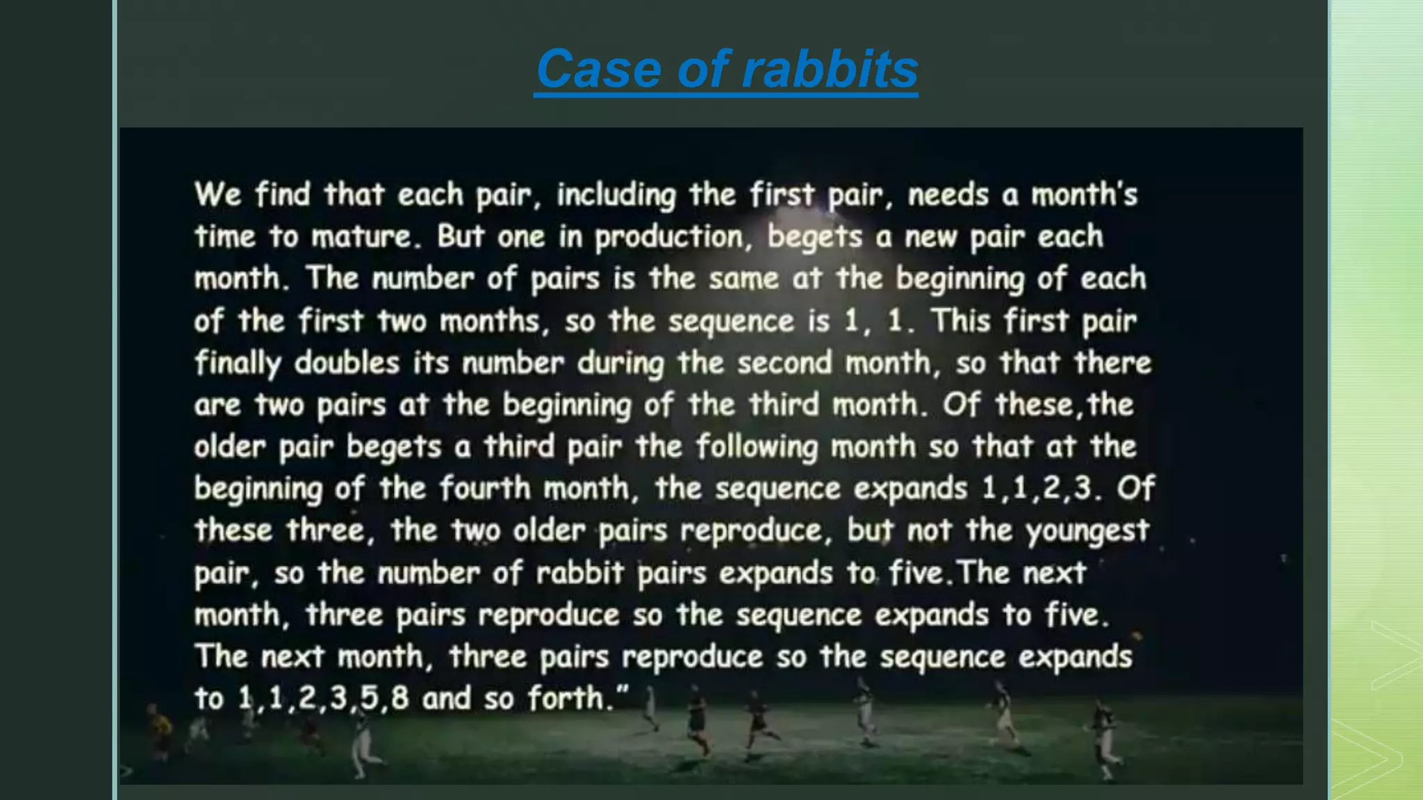 Case of rabbits
 