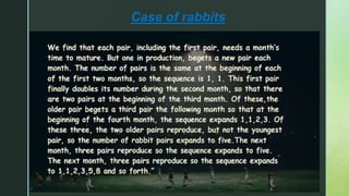 Case of rabbits
 