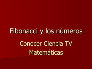 Fibonacci y los números Conocer Ciencia TV Matemáticas 