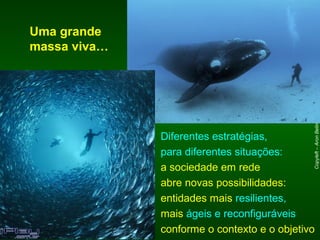 Uma grande
massa viva…




                                             Copyleft – Aron Belinky -2009 - aron@ecopress.org.br
              Diferentes estratégias,
              para diferentes situações:
              a sociedade em rede
              abre novas possibilidades:
              entidades mais resilientes,
              mais ágeis e reconfiguráveis
              conforme o contexto e o objetivo
 