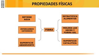 PROPIEDADES FÍSICAS
RETIENE
AGUA
INTERCAMBIO
CATIONICO
SUPERFICIE
CATALITICA
MOLDEA LAS
HECES Y
FORMA GEL
SUPERFICIE
ABSORVENTE
ESTRATIFICA
ALIMENTOS
FIBRA
 