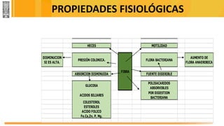 PROPIEDADES FISIOLÓGICAS
HECES MOTILIDAD
DISMINUCION
SI ES ALTA.
PRESIÓN COLONICA. FLORA BACTERIANA
AUMENTO DE
FLORA ANAEROBICA
ABSORCION DISMINUIDA FUENTE DIGERIBLE
GLUCOSA
POLISACARIDOS
ABSORVIBLES
ACIDOS BILIARES
POR DIGESTION
BACTERIANA
COLESTEROL
ESTEROLES
ACIDO FOLICO
Fe.Ca,Zn, P, Mg.
FIBRA
 