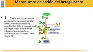 Mecanismos de acción del betaglucano:
• 1.- El principal mecanismo de
acción del betaglucano para la
reducción de los niveles de
colesterol se debe a su capacidad
para fijar ácidos biliares en el
intestino, aumentando su
eliminación por las heces (en la
figura, [1]).
 