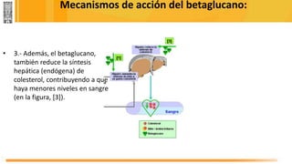 Mecanismos de acción del betaglucano:
• 3.- Además, el betaglucano,
también reduce la síntesis
hepática (endógena) de
colesterol, contribuyendo a que
haya menores niveles en sangre
(en la figura, [3]).
 