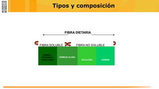 Tipos y composición
FIBRA DIETARIA
FIBRA SOLUBLE FIBRA NO SOLUBLE
GOMAS –
PECTINAS Y
MUCILAGOS CELULOSA LIGNINA
HEMICELULOSA
HEMICELULOSA
 