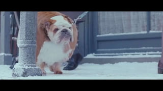 FIBRA 2021 - MEDICINA.pptx