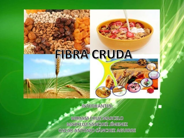 Fibra Cruda Y Fibra Dietetica Pdf