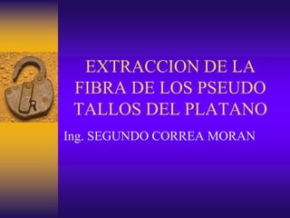 EXTRACCION DE LA
 FIBRA DE LOS PSEUDO
 TALLOS DEL PLATANO
Ing. SEGUNDO CORREA MORAN
 