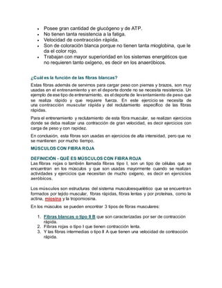  Posee gran cantidad de glucógeno y de ATP.
 No tienen tanta resistencia a la fatiga.
 Velocidad de contracción rápida.
 Son de coloración blanca porque no tienen tanta mioglobina, que le
da el color rojo.
 Trabajan con mayor superioridad en los sistemas energéticos que
no requieren tanto oxígeno, es decir en los anaeróbicos.
¿Cuál es la función de las fibras blancas?
Estas fibras además de servirnos para cargar peso con piernas y brazos, son muy
usadas en el entrenamiento y en el deporte donde no se necesita resistencia. Un
ejemplo de ese tipo de entrenamiento, es el deporte de levantamiento de peso que
se realiza rápido y que requiere fuerza. En este ejercicio se necesita de
una contracción muscular rápida y del reclutamiento específico de las fibras
rápidas.
Para el entrenamiento y reclutamiento de esta fibra muscular, se realizan ejercicios
donde se deba realizar una contracción de gran velocidad, es decir ejercicios con
carga de peso y con rapidez.
En conclusión, esta fibras son usadas en ejercicios de alta intensidad, pero que no
se mantienen por mucho tiempo.
MÚSCULOS CON FIBRA ROJA
DEFINICIÓN - QUÉ ES MÚSCULOS CON FIBRA ROJA
Las fibras rojas o también llamada fibras tipo I, son un tipo de células que se
encuentran en los músculos y que son usadas mayormente cuando se realizan
actividades y ejercicios que necesitan de mucho oxígeno, es decir en ejercicios
aeróbicos.
Los músculos son estructuras del sistema musculoesquelético que se encuentran
formados por tejido muscular, fibras rápidas, fibras lentas y por proteínas, como la
actina, miosina y la tropomiosina.
En los músculos se pueden encontrar 3 tipos de fibras musculares:
1. Fibras blancas o tipo II B que son caracterizadas por ser de contracción
rápida.
2. Fibras rojas o tipo I que tienen contracción lenta.
3. Y las fibras intermedias o tipo II A que tienen una velocidad de contracción
rápida.
 