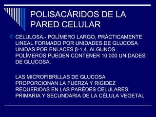 POLISACÁRIDOS DE LA PARED CELULAR CELULOSA.- POLÍMERO LARGO, PRÁCTICAMENTE LINEAL FORMADO POR UNIDADES DE GLUCOSA UNIDAS POR ENLACES  β -1,4. ALGUNOS POLÍMEROS PUEDEN CONTENER 10 000 UNIDADES DE GLUCOSA. LAS MICROFIBRILLAS DE GLUCOSA PROPORCIONAN LA FUERZA Y RIGIDEZ REQUERIDAS EN LAS PARÉDES CELULARES PRIMARIA Y SECUNDARIA DE LA CÉLULA VEGETAL 