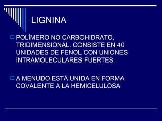 LIGNINA POLÍMERO NO CARBOHIDRATO, TRIDIMENSIONAL. CONSISTE EN 40 UNIDADES DE FENOL CON UNIONES INTRAMOLECULARES FUERTES. A MENUDO ESTÁ UNIDA EN FORMA COVALENTE A LA HEMICELULOSA 