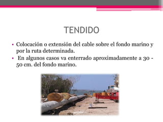 TENDIDOColocación o extensión del cable sobre el fondo marino y por la ruta determinada. En algunos casos va enterrado aproximadamente a 30 - 50 cm. del fondo marino.