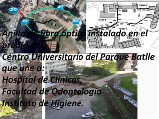 Anillo de fibra óptica instalado en el
predio del
Centro Universitario del Parque Batlle
que une a:
Hospital de Clínicas,
Facultad de Odontología
Instituto de Higiene.
 
