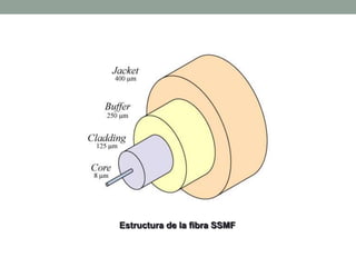 Estructura de la fibra SSMF
 