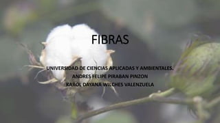 FIBRAS
UNIVERSIDAD DE CIENCIAS APLICADAS Y AMBIENTALES.
ANDRES FELIPE PIRABAN PINZON
KAROL DAYANA WILCHES VALENZUELA
 