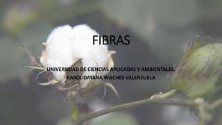 FIBRAS
UNIVERSIDAD DE CIENCIAS APLICADAS Y AMBIENTALES.
KAROL DAYANA WILCHES VALENZUELA
 
