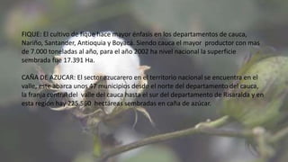 FIQUE: El cultivo de fique hace mayor énfasis en los departamentos de cauca,
Nariño, Santander, Antioquia y Boyacá. Siendo cauca el mayor productor con mas
de 7.000 toneladas al año, para el año 2002 ha nivel nacional la superficie
sembrada fue 17.391 Ha.
CAÑA DE AZUCAR: El sector azucarero en el territorio nacional se encuentra en el
valle, este abarca unos 47 municipios desde el norte del departamento del cauca,
la franja central del valle del cauca hasta el sur del departamento de Risaralda y en
esta región hay 225.560 hectáreas sembradas en caña de azúcar.
 