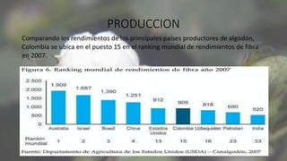 PRODUCCION
Comparando los rendimientos de los principales países productores de algodón,
Colombia se ubica en el puesto 15 en el ranking mundial de rendimientos de fibra
en 2007.
 