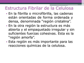 Estructura Fibrilar de la Celulosa
• En la fibrilla o microfibrilla, las cadenas
están orientadas de forma ordenada y
densa, denominada “región cristalina”.
• En la otra región la estructura es más
abierta y el empaquetado irregular y sin
suficientes fuerzas cohesivas. Esta es la
“región amorfa”.
• Esta región es más importante para las
reacciones químicas de la celulosa.
 