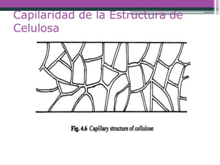 Capilaridad de la Estructura de
Celulosa
 