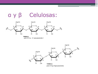 α y β Celulosas:
 