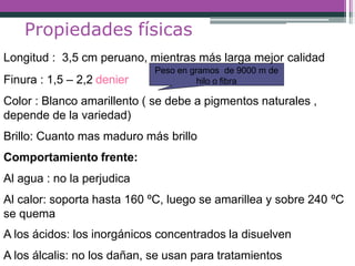 Propiedades físicas
Finura : 1,5 – 2,2 denier
Color : Blanco amarillento ( se debe a pigmentos naturales ,
depende de la variedad)
Brillo: Cuanto mas maduro más brillo
Comportamiento frente:
Al agua : no la perjudica
Al calor: soporta hasta 160 ºC, luego se amarillea y sobre 240 ºC
se quema
A los ácidos: los inorgánicos concentrados la disuelven
A los álcalis: no los dañan, se usan para tratamientos
Longitud : 3,5 cm peruano, mientras más larga mejor calidad
Peso en gramos de 9000 m de
hilo o fibra
 