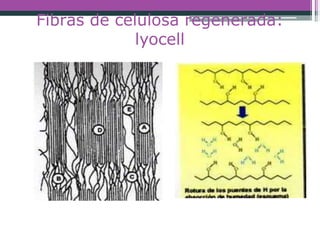 Fibras de celulosa regenerada:
lyocell
 