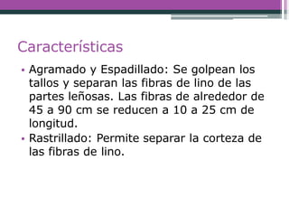 Características
• Agramado y Espadillado: Se golpean los
tallos y separan las fibras de lino de las
partes leñosas. Las fibras de alrededor de
45 a 90 cm se reducen a 10 a 25 cm de
longitud.
• Rastrillado: Permite separar la corteza de
las fibras de lino.
 