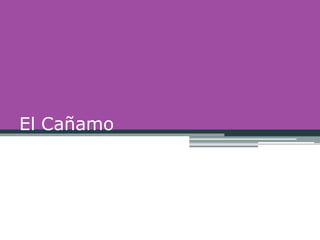El Cañamo
 