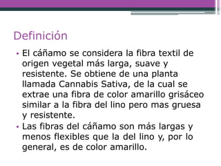 Definición
• El cáñamo se considera la fibra textil de
origen vegetal más larga, suave y
resistente. Se obtiene de una planta
llamada Cannabis Sativa, de la cual se
extrae una fibra de color amarillo grisáceo
similar a la fibra del lino pero mas gruesa
y resistente.
• Las fibras del cáñamo son más largas y
menos flexibles que la del lino y, por lo
general, es de color amarillo.
 