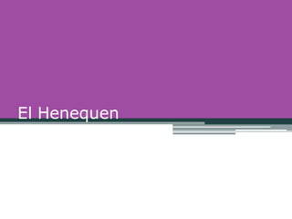 El Henequen
 