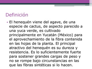 Definición
• El henequén viene del agave, de una
especie de cactus, de aspecto parecido a
una yuca verde, es cultivado
principalmente en Yucatán (México) para
el aprovechamiento de la fibra contenida
en las hojas de la planta. El principal
atractivo del henequén es su dureza y
resistencia. Es lo suficientemente fuerte
para sostener grandes cargas de peso y
no se rompe bajo circunstancias en las
que las fibras sintéticas si lo hacen.
 
