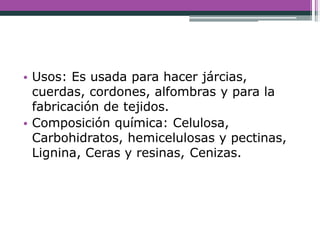 • Usos: Es usada para hacer járcias,
cuerdas, cordones, alfombras y para la
fabricación de tejidos.
• Composición química: Celulosa,
Carbohidratos, hemicelulosas y pectinas,
Lignina, Ceras y resinas, Cenizas.
 