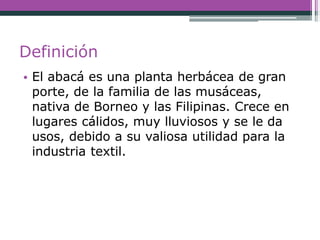 Definición
• El abacá es una planta herbácea de gran
porte, de la familia de las musáceas,
nativa de Borneo y las Filipinas. Crece en
lugares cálidos, muy lluviosos y se le da
usos, debido a su valiosa utilidad para la
industria textil.
 