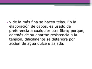 • y de la más fina se hacen telas. En la
elaboración de cabos, es usado de
preferencia a cualquier otra fibra; porque,
además de su enorme resistencia a la
tensión, difícilmente se deteriora por
acción de agua dulce o salada.
 
