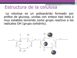 Estructura de la celulosa
La celulosa es un polisacárido formado por
anillos de glucosa, unidas con enlace tipo beta 
muy estables teniendo como grupo reactivo a los
radicales OH (grupo oxhidrilo).
O
CH OH
2
H
H
-
OH
H
H
OH
H
•-
O
O
CH OH
2
H
-
OH
H
H
-
O
O
H H
OH
 